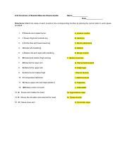 2.02 Functions Of Skeletal Muscles Review Guide