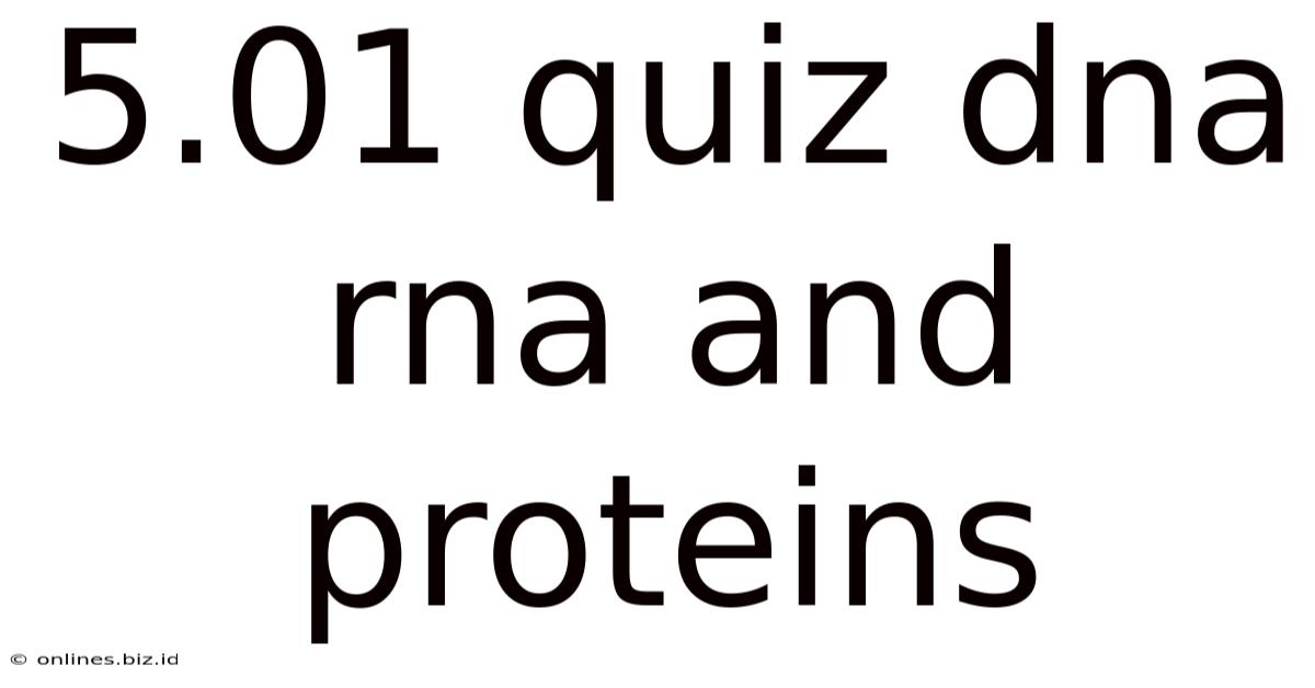 5.01 Quiz Dna Rna And Proteins