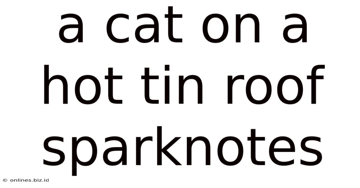 A Cat On A Hot Tin Roof Sparknotes