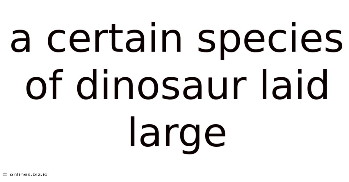 A Certain Species Of Dinosaur Laid Large