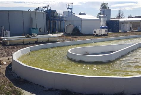 A Company Is Growing Algae In Big Tanks