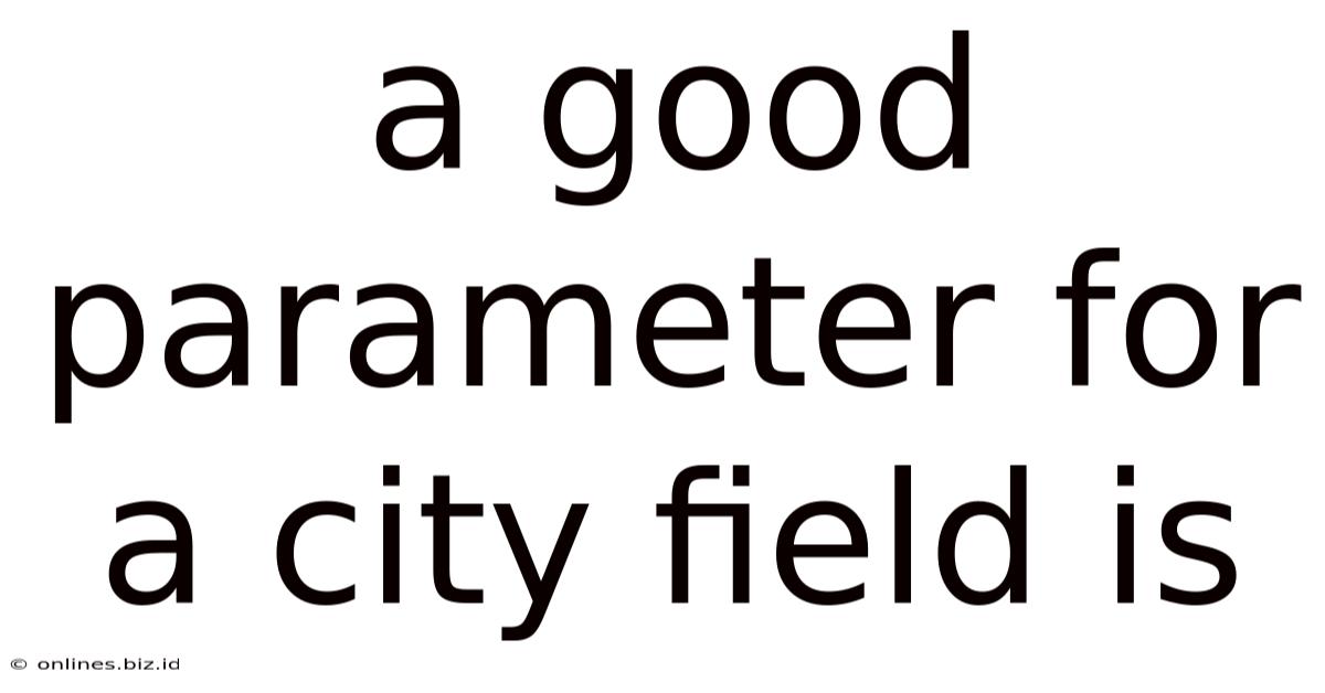 A Good Parameter For A City Field Is