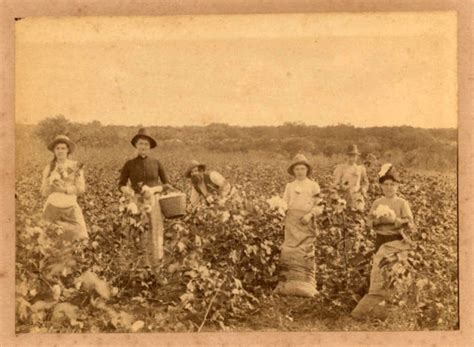 A Majority Of Texas Women In The Late Nineteenth Century