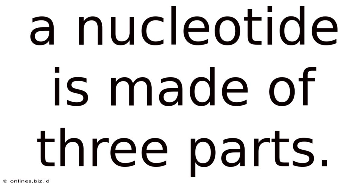 A Nucleotide Is Made Of Three Parts.