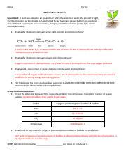 A Plants Raw Materials Answer Key