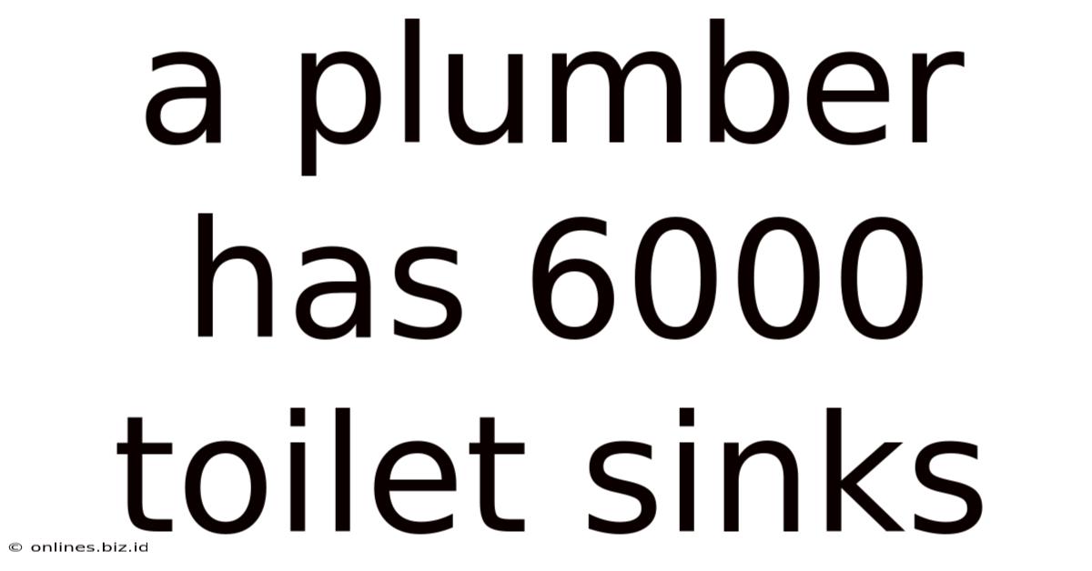 A Plumber Has 6000 Toilet Sinks