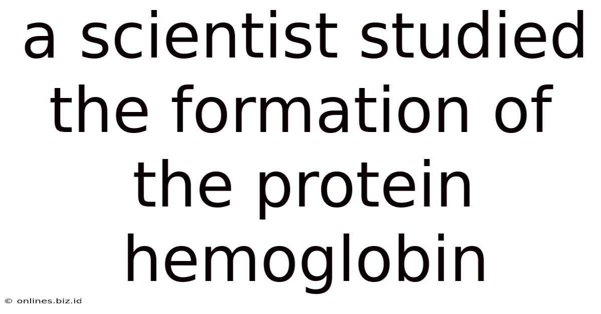A Scientist Studied The Formation Of The Protein Hemoglobin