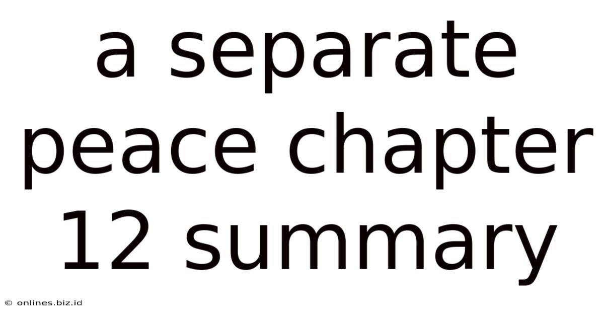 A Separate Peace Chapter 12 Summary