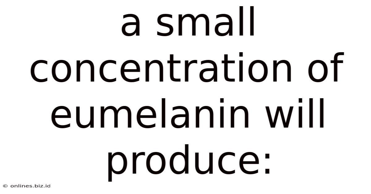 A Small Concentration Of Eumelanin Will Produce: