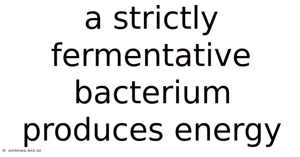 A Strictly Fermentative Bacterium Produces Energy