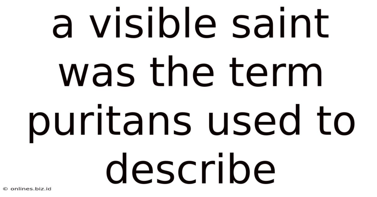 A Visible Saint Was The Term Puritans Used To Describe