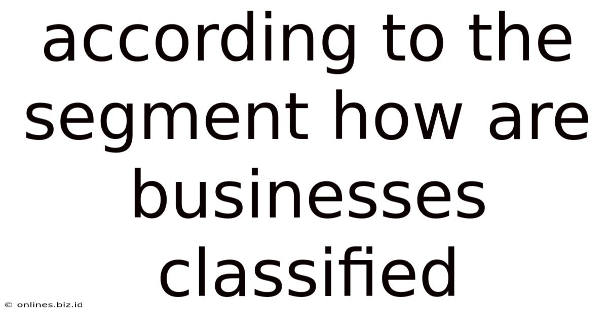 According To The Segment How Are Businesses Classified