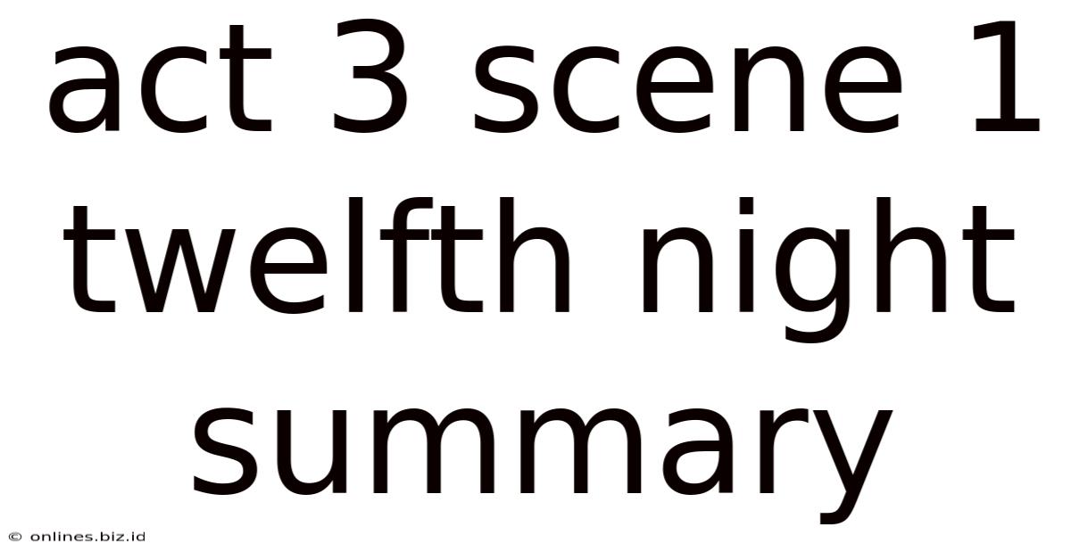 Act 3 Scene 1 Twelfth Night Summary