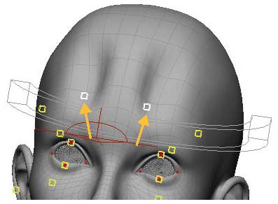 All Of The Following Are Sculpting Positions Except