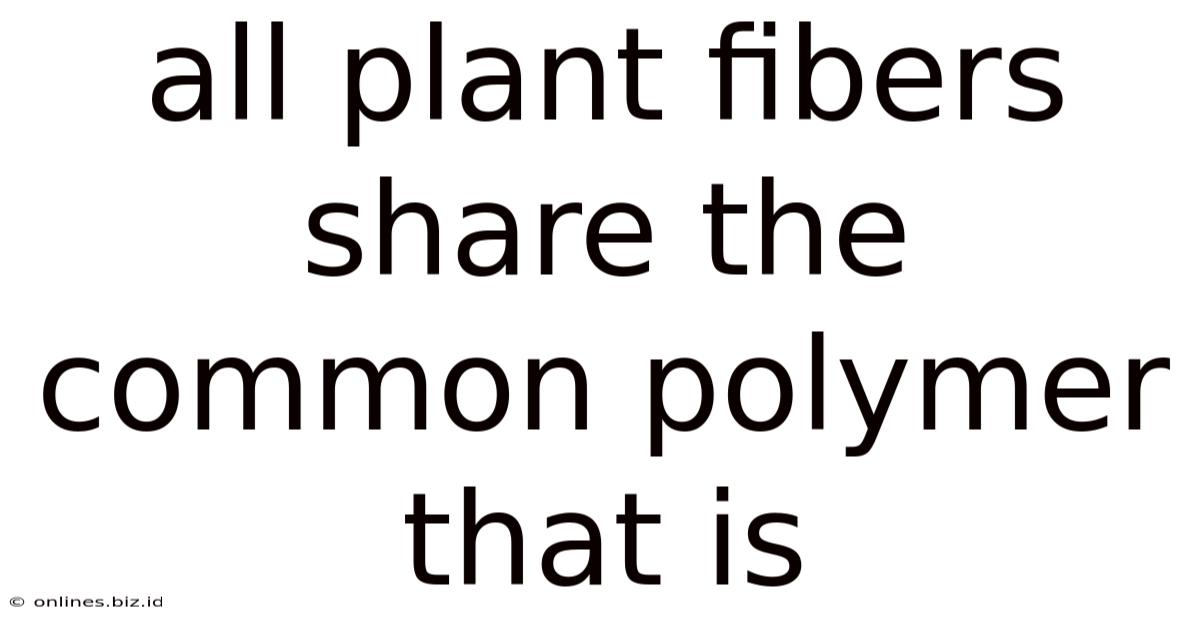 All Plant Fibers Share The Common Polymer That Is