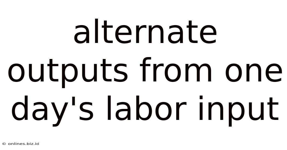 Alternate Outputs From One Day's Labor Input