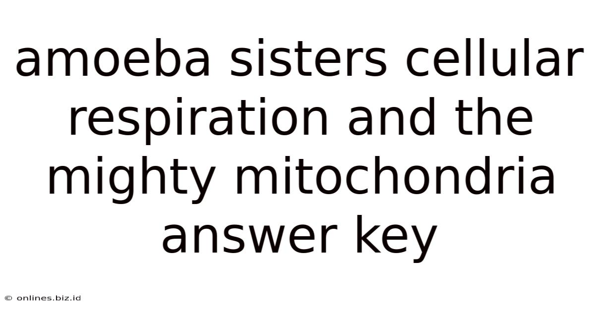 Amoeba Sisters Cellular Respiration And The Mighty Mitochondria Answer Key
