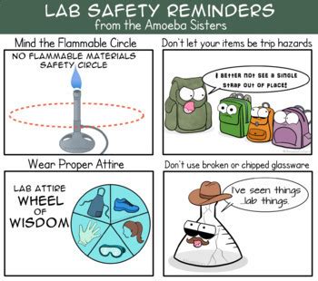 Amoeba Sisters Lab Safety Worksheet Answers