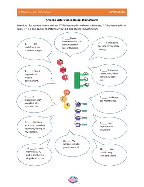 Amoeba Sisters Video Recap Biomolecules Answers