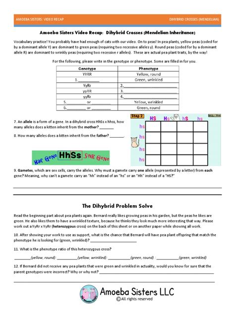 Amoeba Sisters Video Recap Dihybrid Crosses Mendelian Inheritance Answer Key