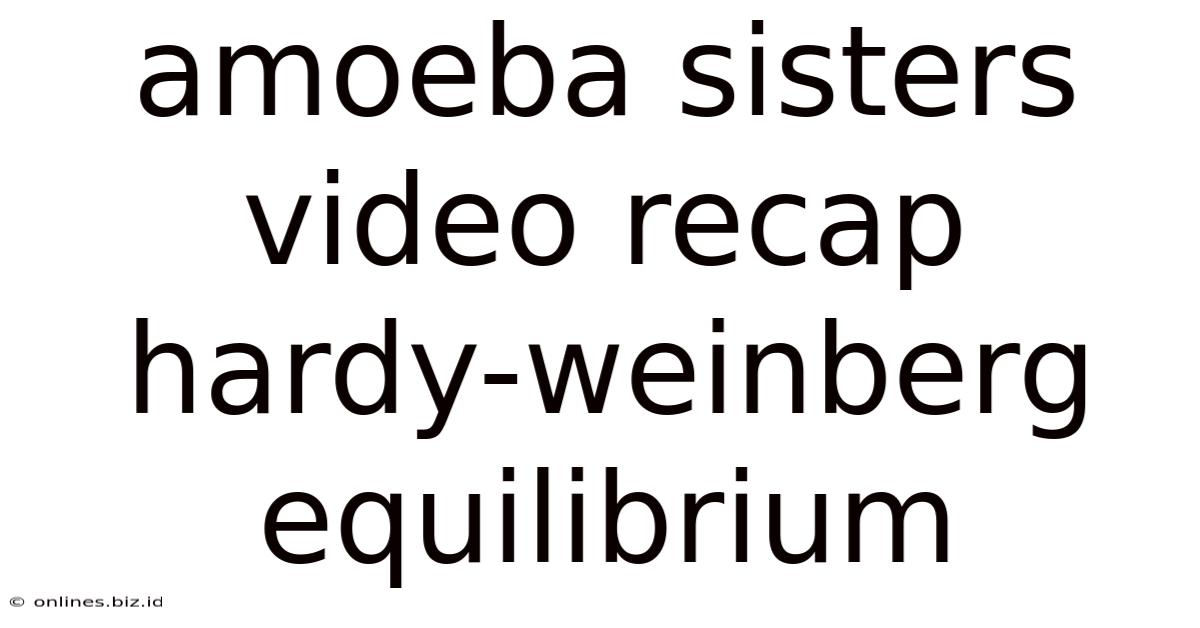 Amoeba Sisters Video Recap Hardy-weinberg Equilibrium