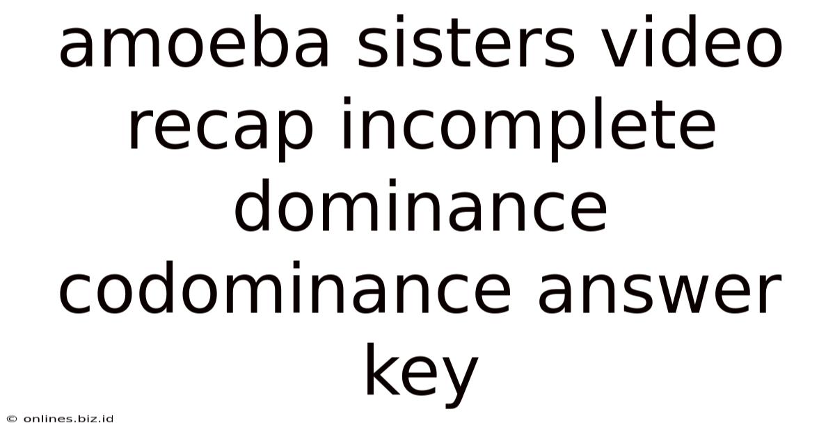Amoeba Sisters Video Recap Incomplete Dominance Codominance Answer Key
