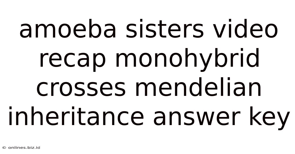Amoeba Sisters Video Recap Monohybrid Crosses Mendelian Inheritance Answer Key