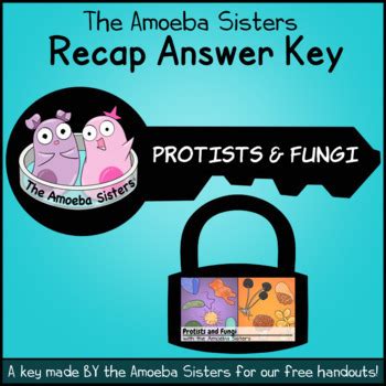 Amoeba Sisters Video Recap Protists And Fungi Answer Key