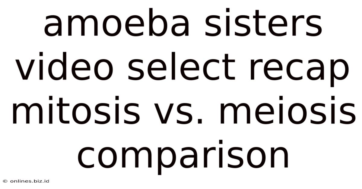 Amoeba Sisters Video Select Recap Mitosis Vs. Meiosis Comparison