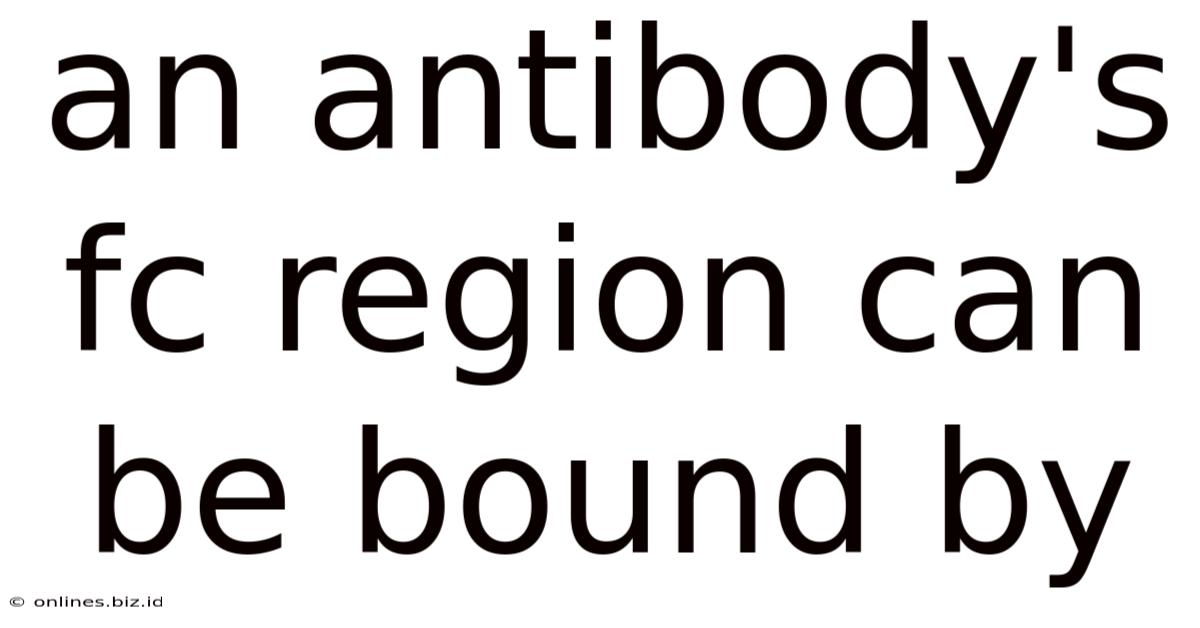 An Antibody's Fc Region Can Be Bound By