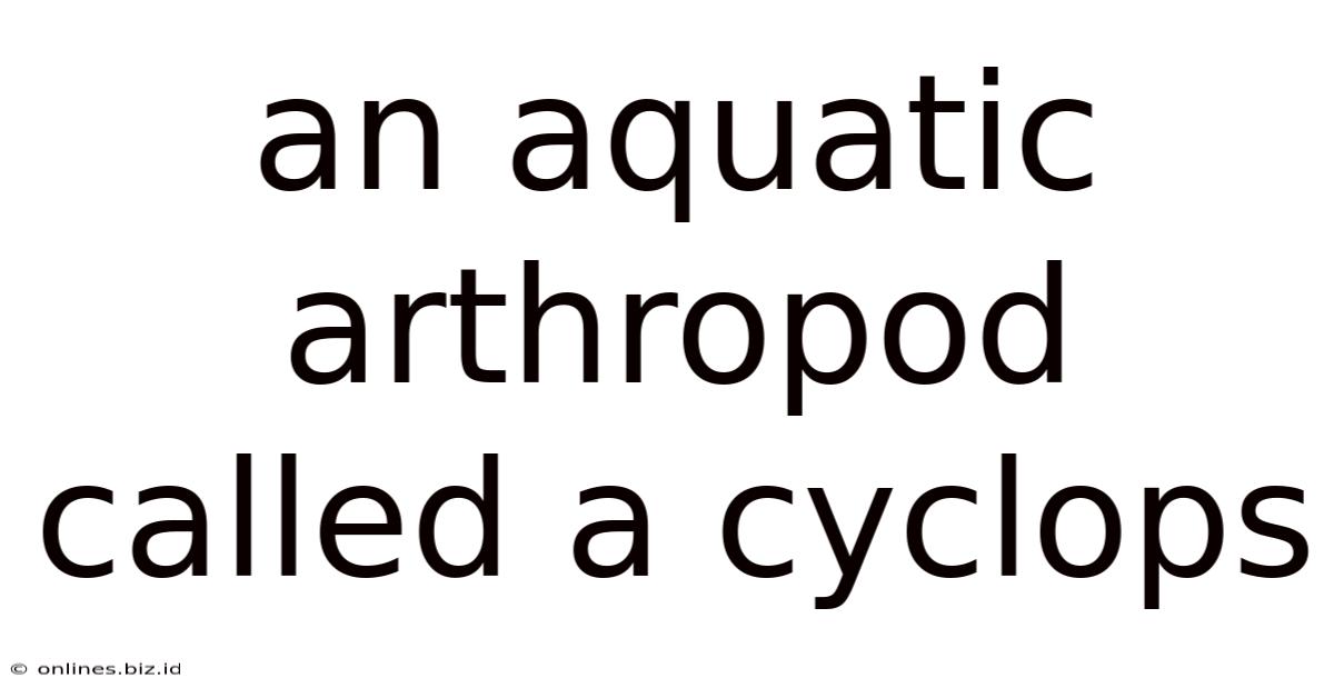 An Aquatic Arthropod Called A Cyclops
