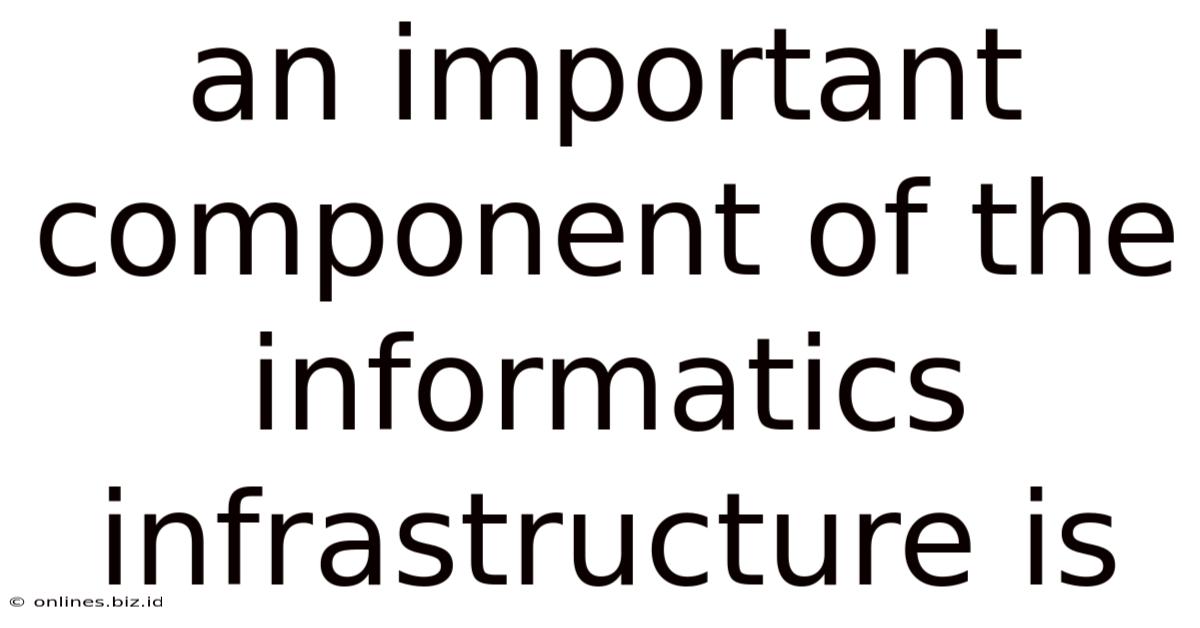 An Important Component Of The Informatics Infrastructure Is