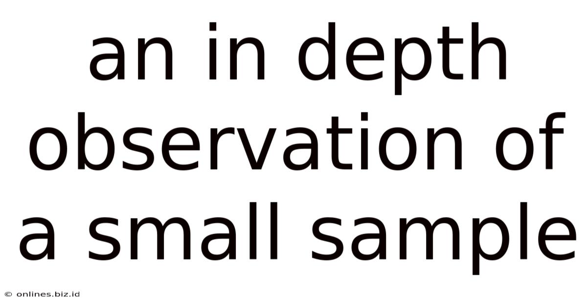 An In Depth Observation Of A Small Sample