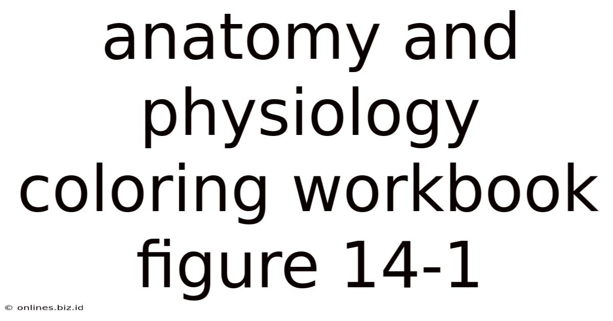 Anatomy And Physiology Coloring Workbook Figure 14-1