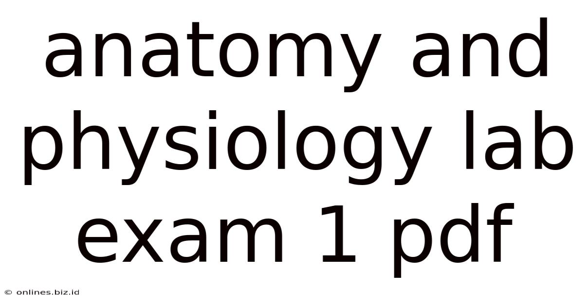 Anatomy And Physiology Lab Exam 1 Pdf
