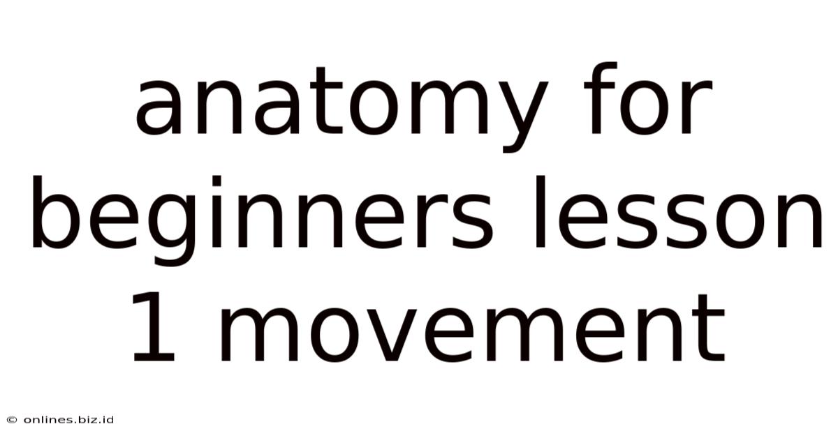 Anatomy For Beginners Lesson 1 Movement