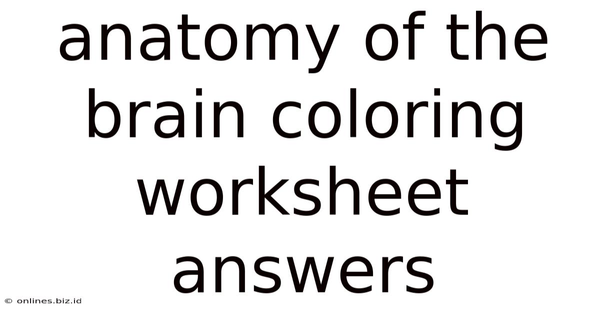 Anatomy Of The Brain Coloring Worksheet Answers