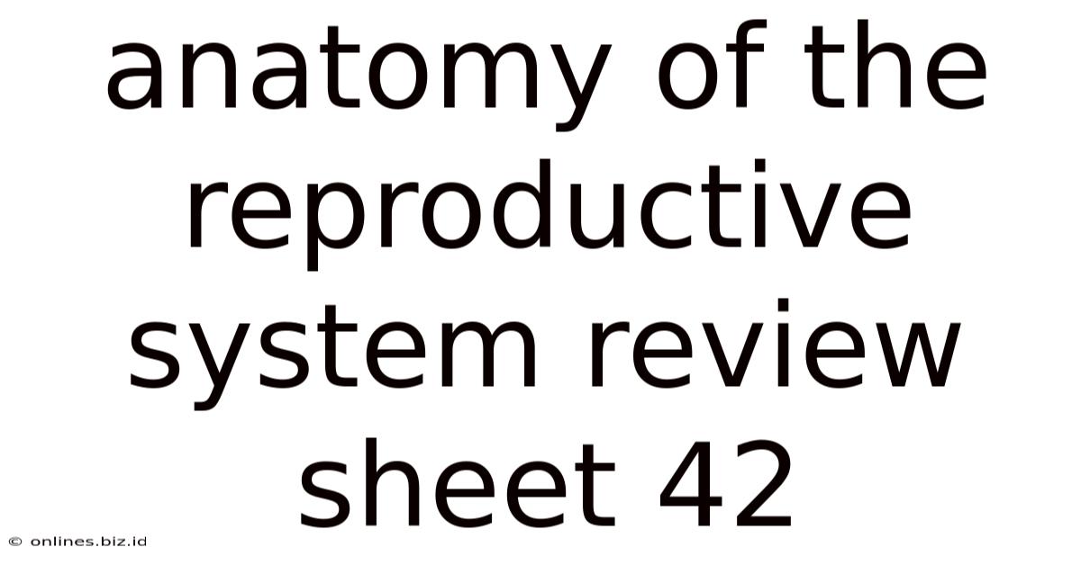 Anatomy Of The Reproductive System Review Sheet 42