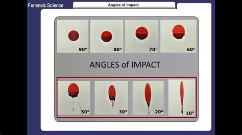 Angle Of Impact Practice Answer Key