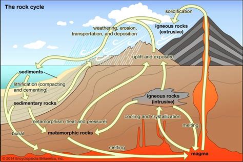 Application Of Low-grade Metamorphic Forces To A Rock Causes _____.