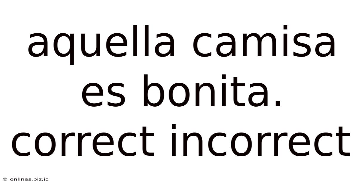 Aquella Camisa Es Bonita. Correct Incorrect