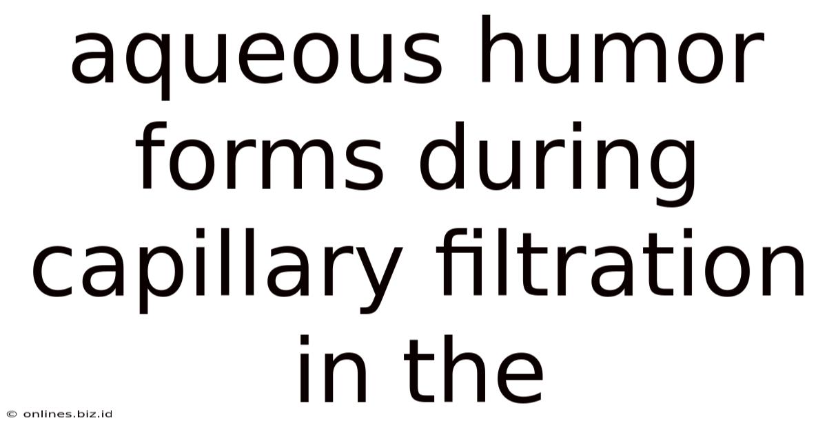Aqueous Humor Forms During Capillary Filtration In The