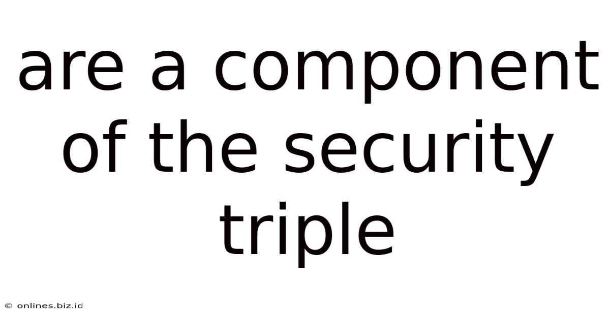 Are A Component Of The Security Triple