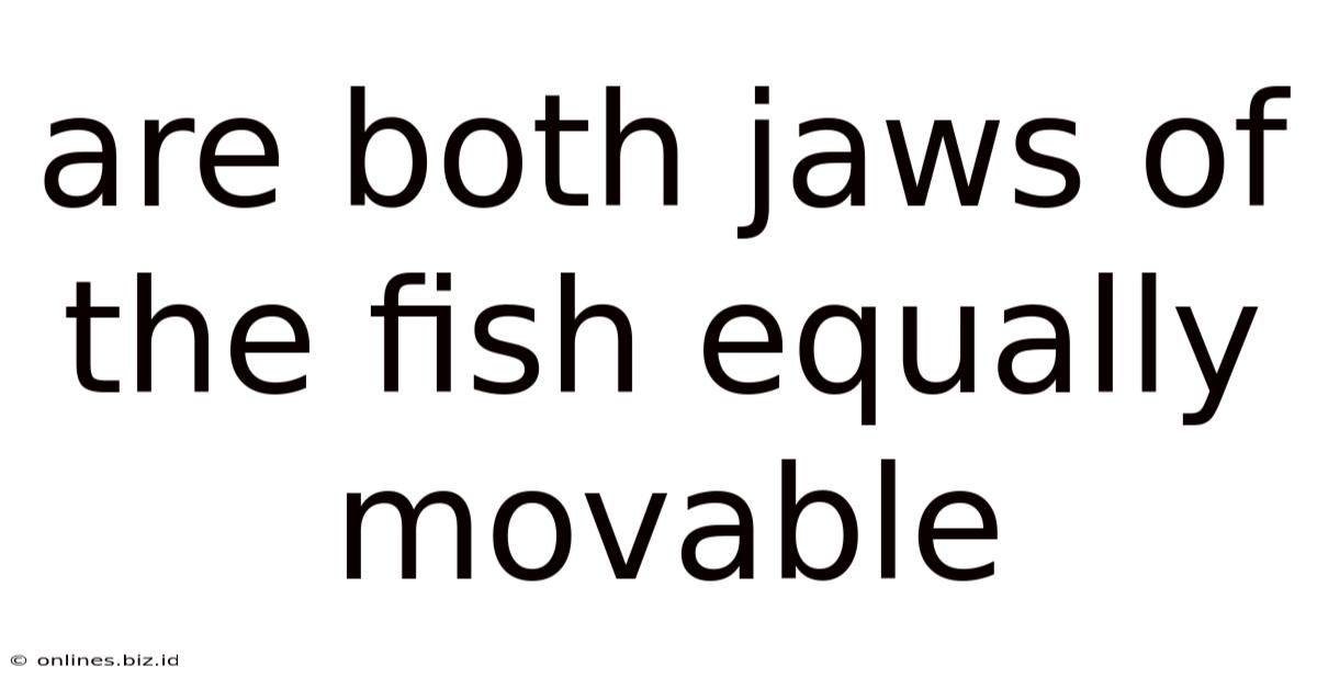 Are Both Jaws Of The Fish Equally Movable