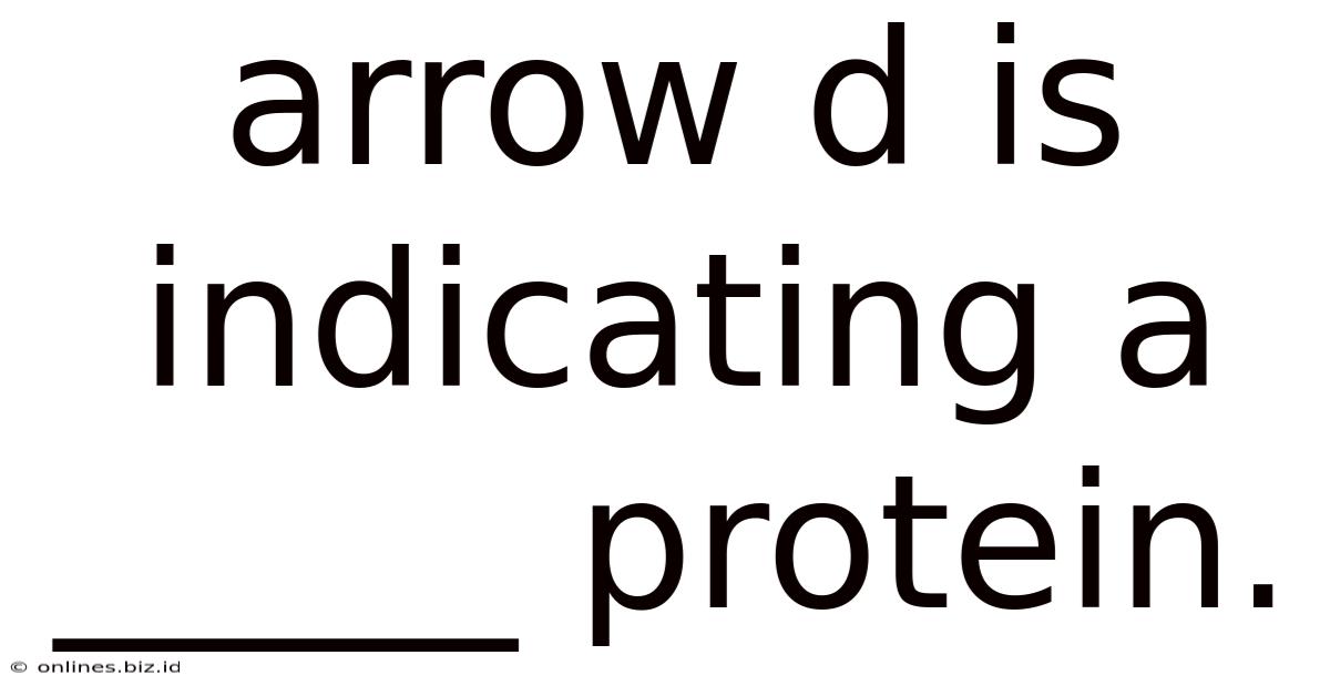 Arrow D Is Indicating A _____ Protein.