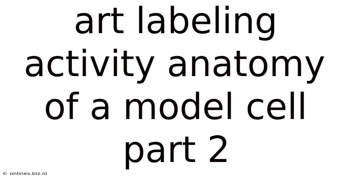 Art Labeling Activity Anatomy Of A Model Cell Part 2