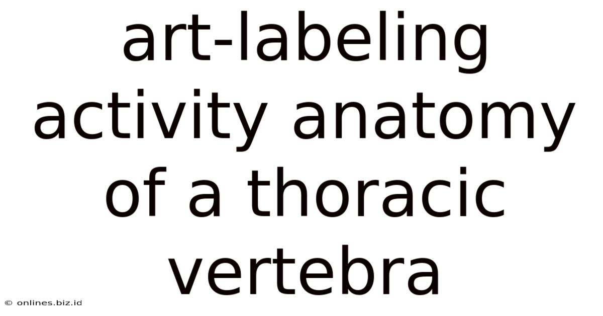 Art-labeling Activity Anatomy Of A Thoracic Vertebra