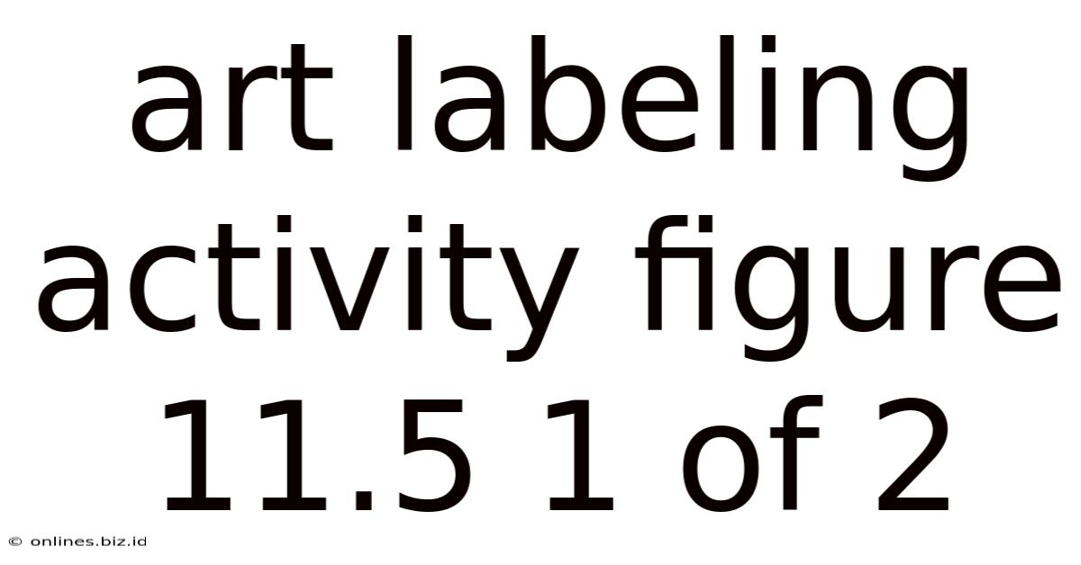 Art Labeling Activity Figure 11.5 1 Of 2