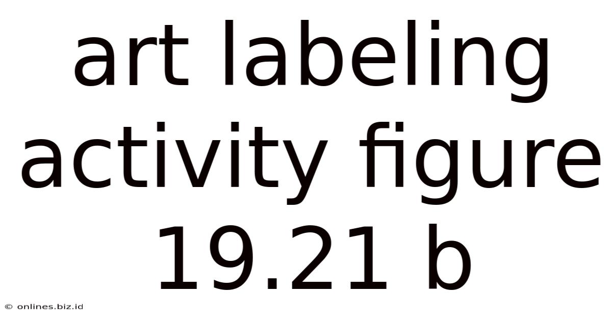 Art Labeling Activity Figure 19.21 B