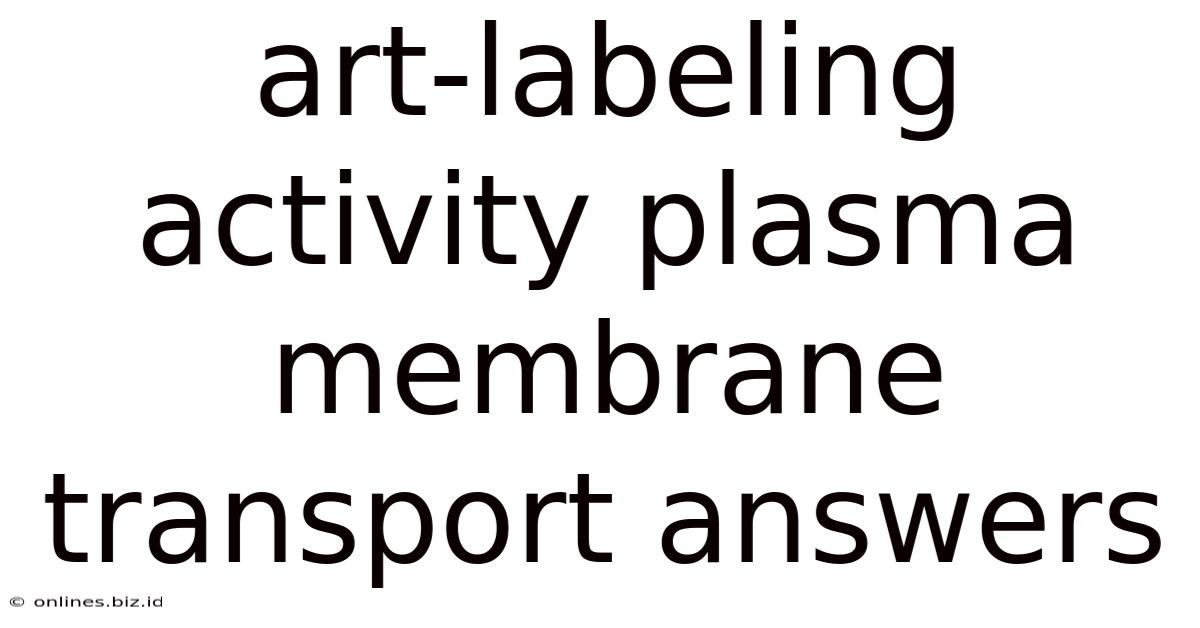 Art-labeling Activity Plasma Membrane Transport Answers